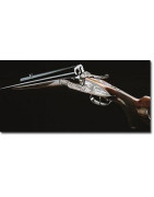 Rifles de caza Express